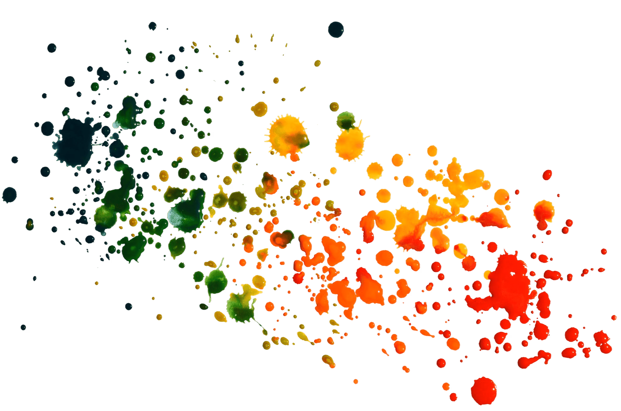 paint splot