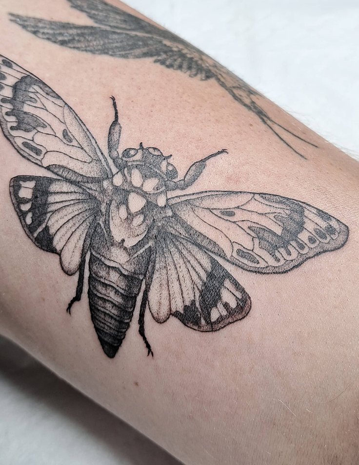 tattoo by Kate